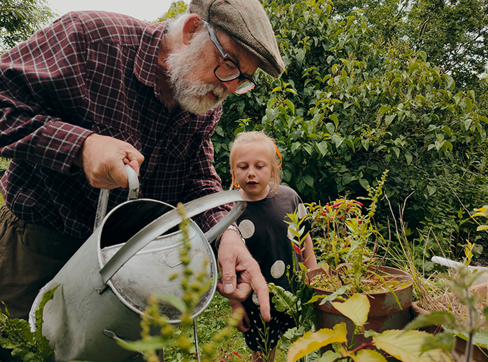 Grandfather and Granddaughter gardening