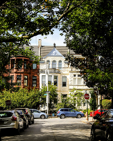 Historic rowhomes along a tree-lined residential street in Baltimore
