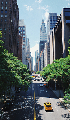 Overhead view of a cab driving along a tee lined New York Street with skyline in the background